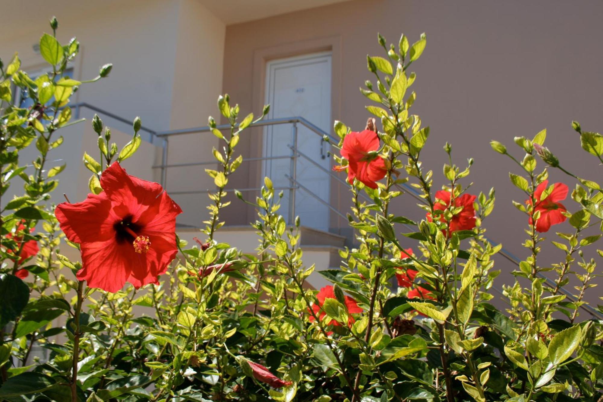 Amaryllis Front Beach Hotel Lardos Exterior photo